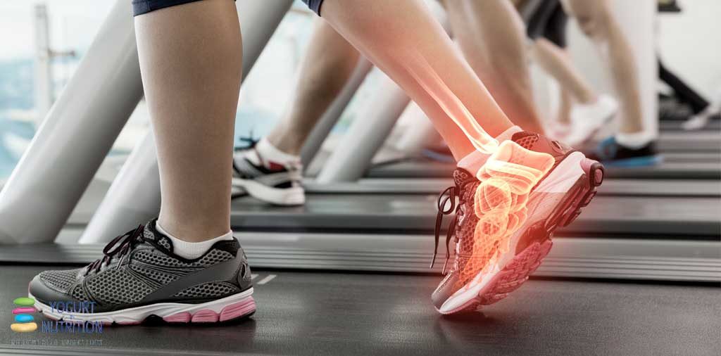 Bone & Joint Support | Vita Vocal Best Vitamins and Supplements